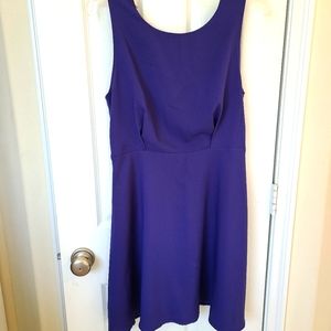 Women's Blue/ Purple Dress